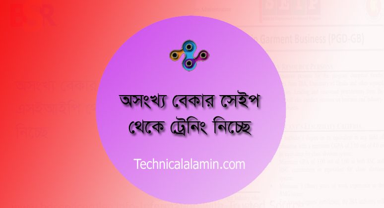 ইয়োথ ডেভেলপমেন্ট প্রোগ্রাম – Skills For Employment Investment Program – SEIP SEIP has been currently supporting 10 priority sectors. Few more sectors will come up when the implementation of the Tranche 3 starts. Under these priority sectors SEIP is partnering with 13 industry associations and also with the public training institutes alongside some semi-government and autonomous bodies like PKSF, BB-SME etc.