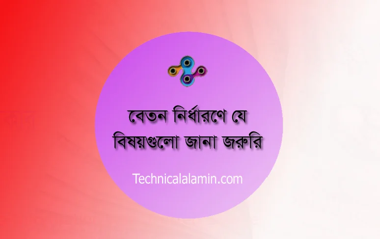 Pay Fixation Rules and Regulations । একনজরে বেতন নির্ধারণ বিষয়াবলি যা জানা জরুরি