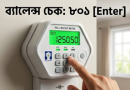প্রিপেইড মিটারের ব্যালেন্স চেক করার নিয়ম ২০২৬
