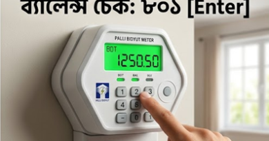 প্রিপেইড মিটারের ব্যালেন্স চেক করার নিয়ম ২০২৬