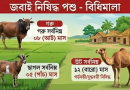 পশু জবাইয়ে মানতে হবে কঠোর নিয়ম
