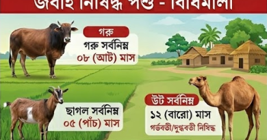 পশু জবাইয়ে মানতে হবে কঠোর নিয়ম