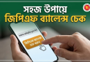 অনলাইনে জিপিএফ ব্যালেন্স চেক করার সহজ নিয়ম