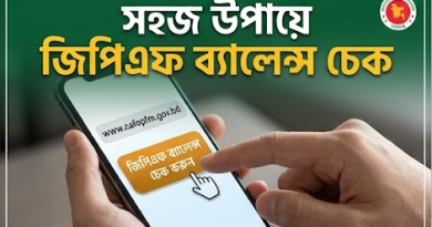 অনলাইনে জিপিএফ ব্যালেন্স চেক করার সহজ নিয়ম