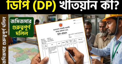 ডিপি (DP) খতিয়ান কী?