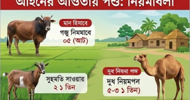 পশু জবাইয়ে মানতে হবে কঠোর নিয়ম