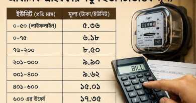 গ্রাহক পর্যায়ে বিদ্যুতের দাম গড়ে ১৬.৬৮% বৃদ্ধি
