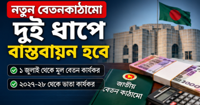 বেতনকাঠামো তিন ধাপ হতে দুই ধাপে বাস্তবায়ন ২০২৬