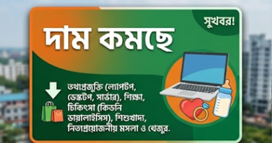 স্বস্তি ও করের টানাপোড়েন