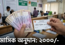 বেসরকারি এতিমখানায় সরকারের বড় বরাদ্দ