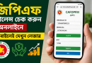সরকারি কর্মচারীদের জিপিএফ ব্যালেন্স অনলাইনে দেখার সুযোগ: মোবাইলেই মিলবে লেজার ও মাসিক হিসাব