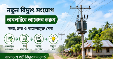 নতুন বিদ্যুৎ সংযোগ নিতে অনলাইনে আবেদন