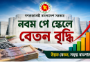নবম পে স্কেলে সরকারি চাকরিজীবীদের বেতন দ্বিগুণ (১০০% বৃদ্ধি): কার কত বাড়ল?