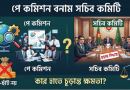 পে কমিশন বনাম সচিব কমিটি