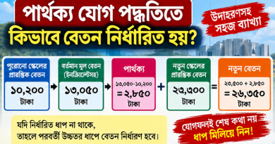 বেতন নির্ধারণের সহজ পদ্ধতি ২০২৬