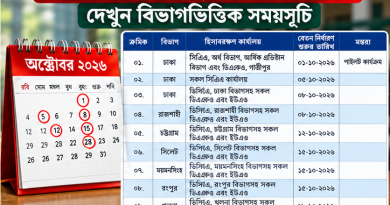 iBAS++-এ অনলাইনে বেতন নির্ধারণ শুরু ১ অক্টোবর থেকে