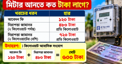 পল্লী বিদ্যুৎ বিল হিসাব ২০২৬