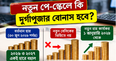 নতুন বেসিকে কি উৎসব ভাতা পাওয়া যাবে?