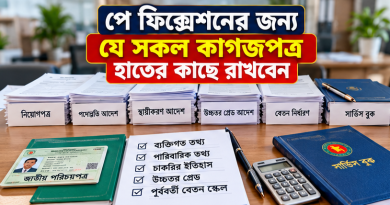 বেতন নির্ধারণের আগে যে তথ্যগুলো হাতের কাছে রাখবেন, পুরো ফরমের বিশ্লেষণ
