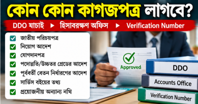 iBAS++-এ নতুন বেতন নির্ধারণে যে বিষয়গুলো জানা জরুরি