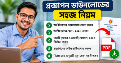 Salary Stage Chart BD